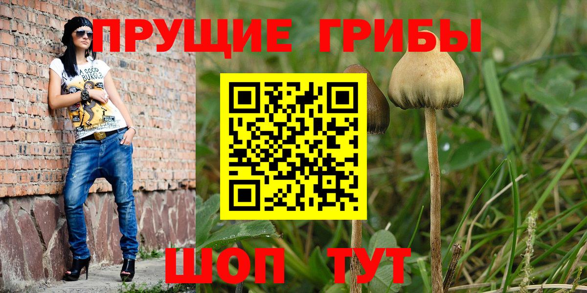 Галлюциногенные грибы MAGIC MUSHROOMS Камень-на-Оби
